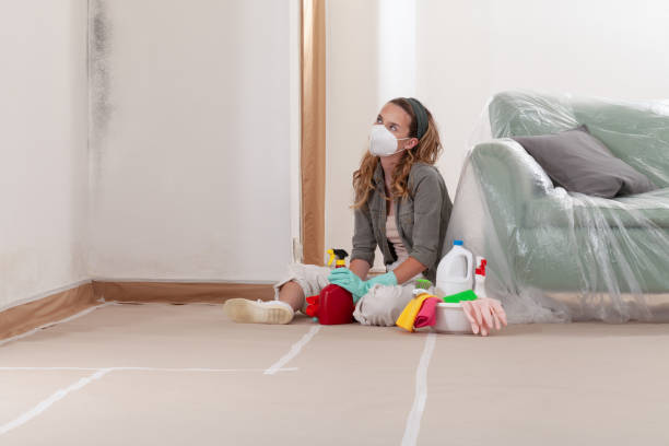 Reliable Black Mold Removal contractor in Port Reading, NJ by WQB Mold Removal
